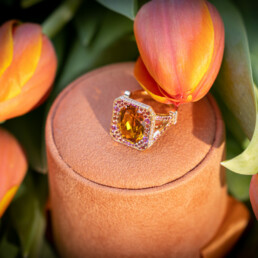 bague paris s'éveille