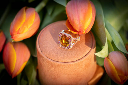 bague paris s'&eacute;veille